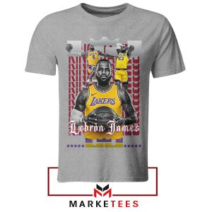 The King LeBron James Masterpiece Grey Thisrt (2)