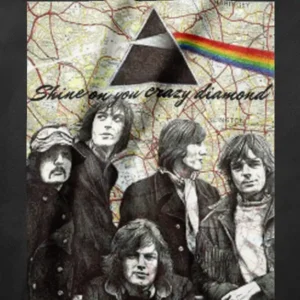 MT 000093 Pink Floyd Group