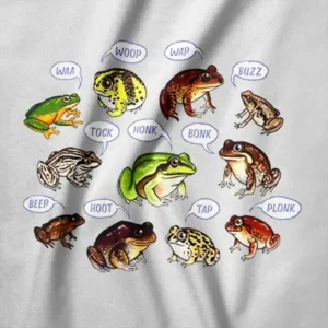 Funny Frog Song Animal Meme Graphic T-Shirt