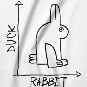 Classic Rabbit Duck Optical Illusion Vintage
